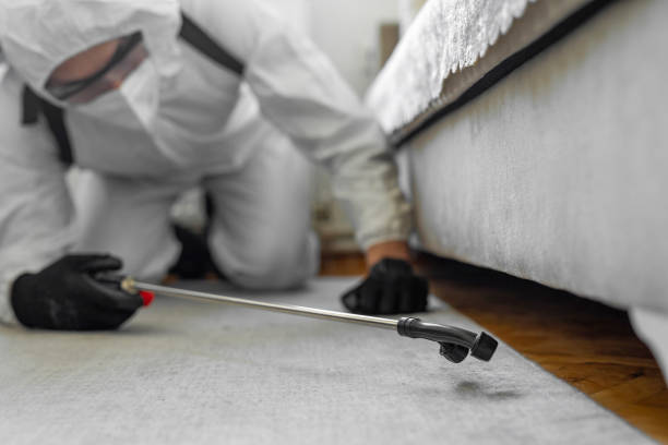 Professional Pest Control technician working in Fulton, MS