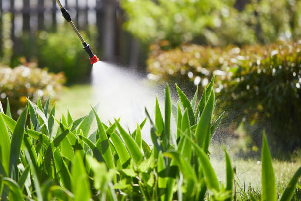 24/7 Emergency Pest Control experts in Fulton, MS