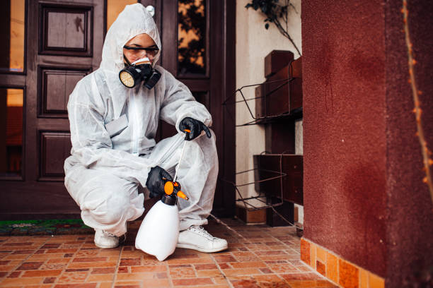 Reliable Pest Control contractor in Fulton, MS by Nex Pest Control