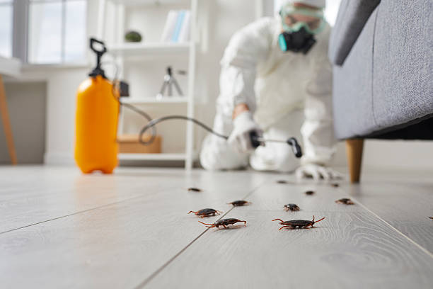 Affordable Pest Control solutions in Fulton, MS
