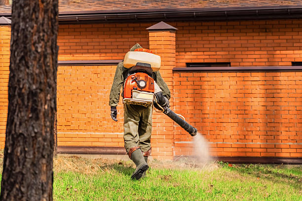 Top rated local Pest Control specialists in Fulton, MS